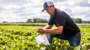 Micronutrients Remain A Piece Of Yield Puzzle In 2017