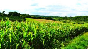 Progress In Agronomy: A Story Worth Telling