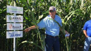 Verdesian: Sustainability Goes Hand in Hand with Profits
