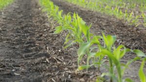 Nominations for 2019 4R Advocate Program Due October 31