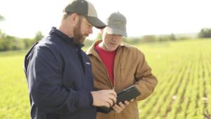 Analysts to Growers: At Least One More Year of Belt-Tightening
