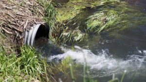 Ohio 4R Research Fund Project Stresses Importance of Monitoring Soil Phosphorus Levels