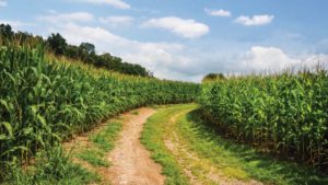 2017 Precision Dealership Survey: Making the Turn Toward Decision Agriculture