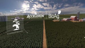 EPA OKs Monsanto NemaStrike Technology in Row Crops