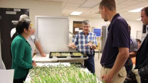 Iowa State Celebrates 10 Years of Online Seed Education