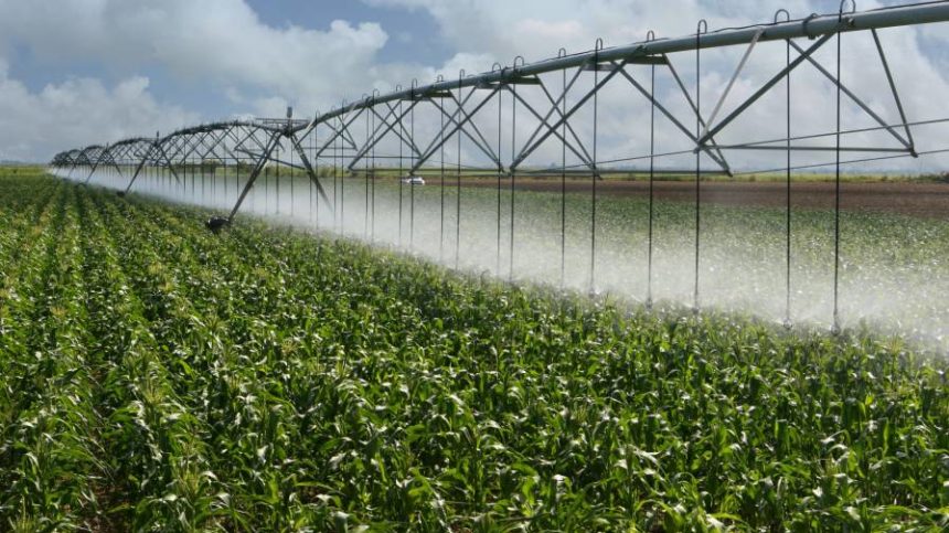 Nitrogen: Why More Later May Be Better