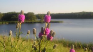 La Crosse Seed Continues Focus on Soil and Water Conservation