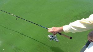 Ag Retailers Report Progress on Products and Services that Improve Water Quality