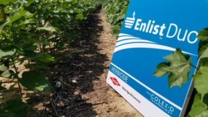 Corteva Details Enlist E3, Qrome Corn Launches