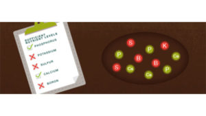 Make the Most Out of Your Fertilizer Purchases with Soil Testing