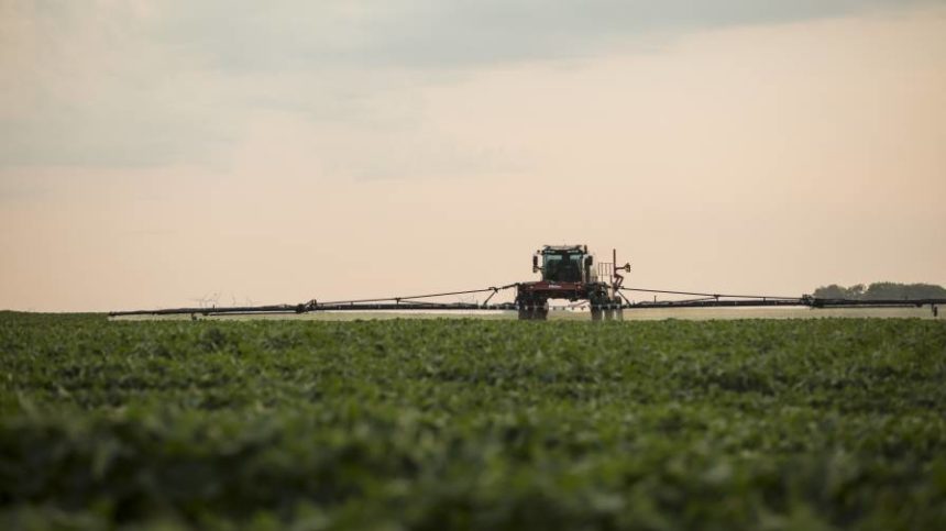 2020: A Key Year for Glyphosate