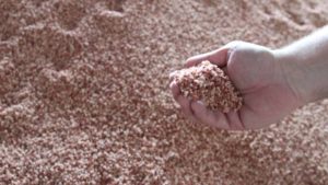 Russia-Ukraine Conflict: USDA Invests $250 Million to Support American-Made Fertilizer