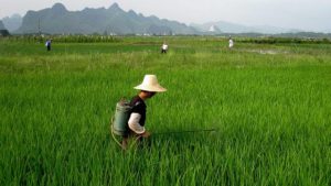 Global Crop Protection Product Supply, Demand, and Use Trends — A Positive Outlook