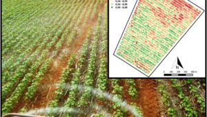 Why Are Service Providers Slow to Adopt Crop Sensors for Nitrogen Management?