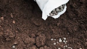 Crop Nutrition Enhancers Arrive in Many Forms
