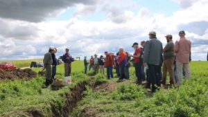 Service Providers Best Positioned to Move Nutrient Stewardship Needle