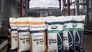 All Eyes on the Seed Sector