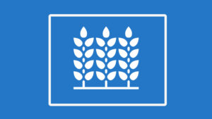 Daily Dicamba Update: Dicamba-Tolerant Crops: A Development Opportunity or a Debacle?