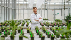 How Far Away Is Dicamba Resistance? A New Software May Have the Answer