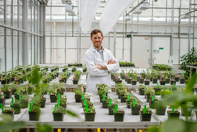 How Far Away Is Dicamba Resistance? A New Software May Have the Answer