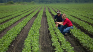The 2018 CropLife 100 Preview