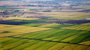 Arkansas Receiving Drift Complaints About Loyant Herbicide