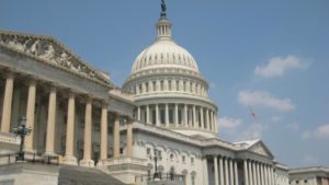 What Might Trump 2.0 Mean to the U.S. Farm Economy?