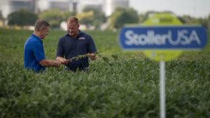 Plant Nutrition is Key to Increased Yields