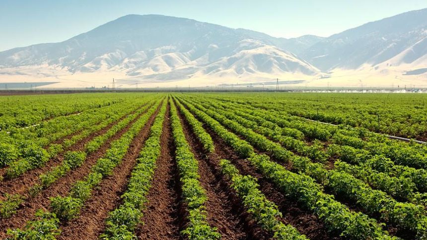 Biotalys Expands R&D Pipeline With New Biofungicide Program
