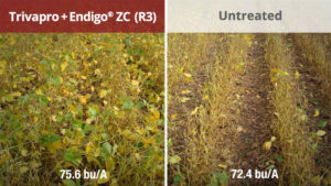 Yield Bump 2 Years Running with Trivapro Fungicide