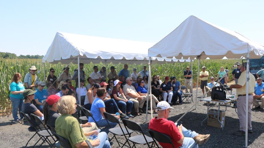 Councell Farms, Cordova, MD