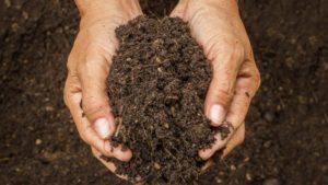 Fertilizers’ Impact on Soil Health Compared