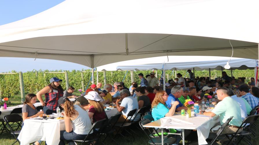Networking & Dinner: Triple Creek Winery