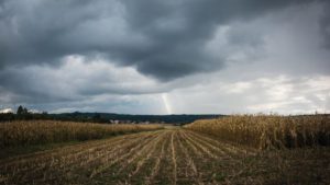Agriculture 2019: A Look Back at ‘The Year from Hell’