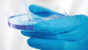 Biological Fungicides: A Key Element in Farmers’ Toolboxes