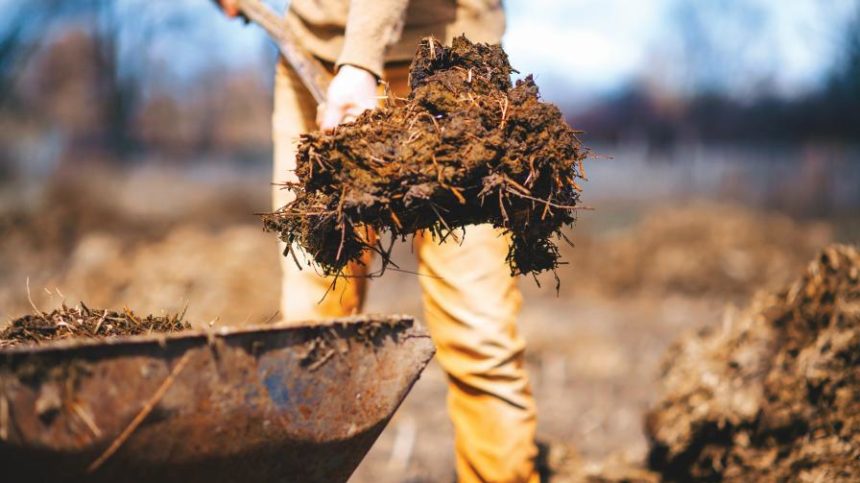 The Right Mix: Mineral and Manure Nutrient Sources Complement Each Another