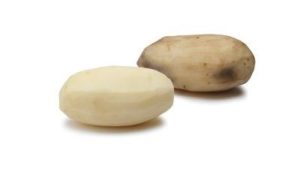 Simplot Secures Joint Licensing Agreement with Corteva, Broad Institute of MIT and Harvard