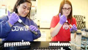 Quick Soil Test Aims to Determine Nitrogen Need