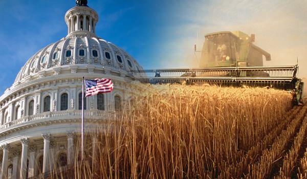 Senior Democrat: Stalled Farm Bill Could Move Fast After House Win
