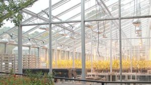 Verdesian Expands Research Pipeline for Nutrient Use Efficiency Technologies