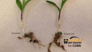Biologicals and Seed Treatments: Handle with Care