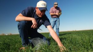 CHS Agronomy Launches Updated Agronomy Training Website