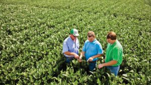 Are Precision Agriculture Professionals Smarter Than a 5th Grader?