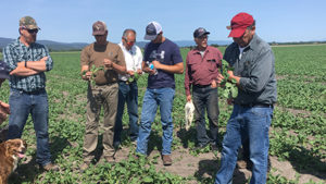Finding More Profit in Every Acre