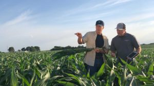 The What and Why of Benchmarking Data in Agriculture