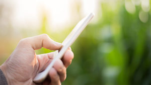 Top Reasons to Work with A Crop Consultant
