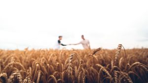What Is Relationship-Based Selling in Agribusiness?