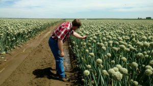 Manufacturers Relay Myriad Micronutrient Info to Ag Retailers and Their Grower-Customers
