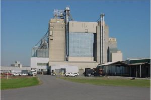 Tennessee Farmers Cooperative