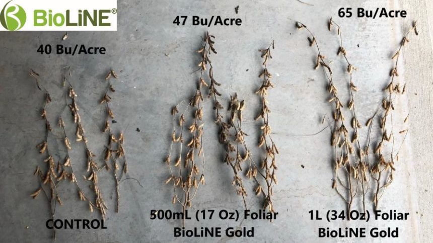 Biostimulants Raring for Regulation - CropLife
